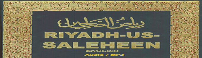 Riyadh-us-Saliheen (Audio / MP3 Book)